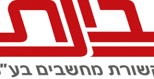 בינת